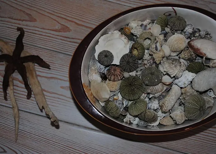 Thalassa Дом отдыха Никиана